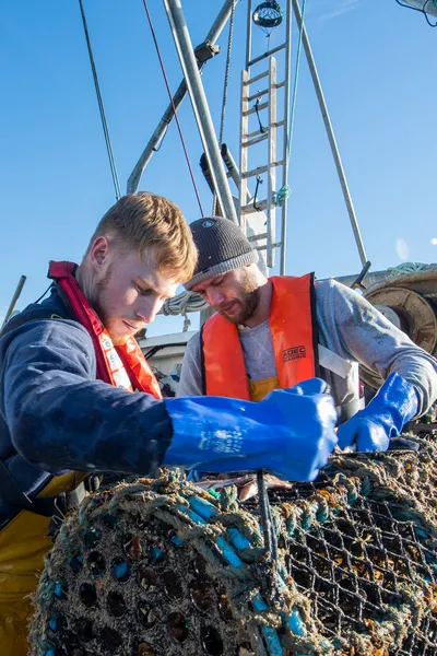 Two fishermen puling a pot out of the sea