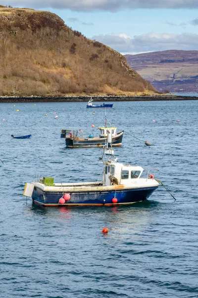 Fishing vessels moored