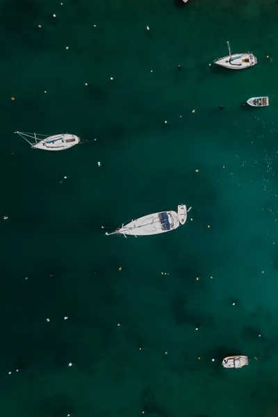 Top down view of boats moored in two lines