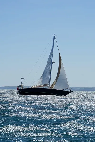 White and black sailboat out at sea