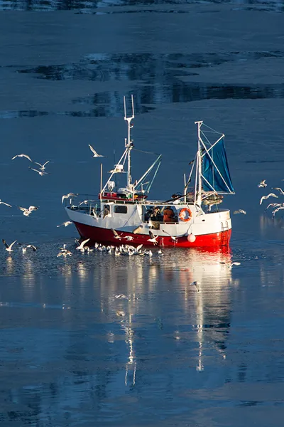 Fishing vessel on calm open water