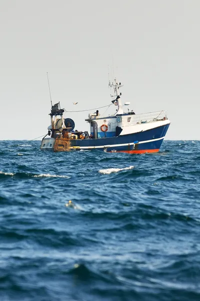 Small Fishing Vessel with seagulls following behind