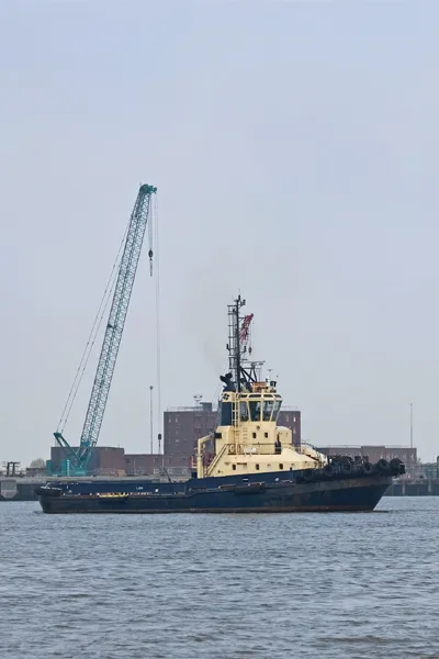 Tug boat in front of a port