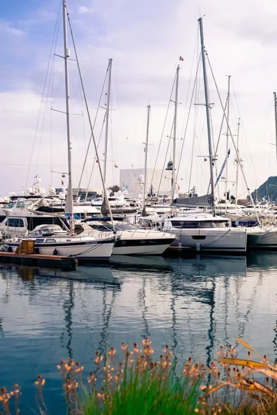 Boats moored in marina