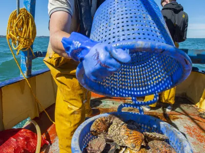 Fisherman on vessel