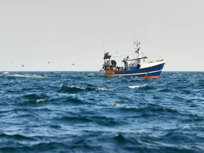 Small Fishing Vessel with seagulls following behind