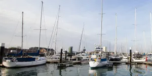 Yachts in a marina