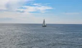 Sailboat sailing in the open sea