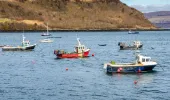 Fishing vessels moored