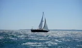White and black sailboat out at sea