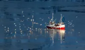 Fishing vessel on calm open water