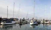 Yachts in a marina